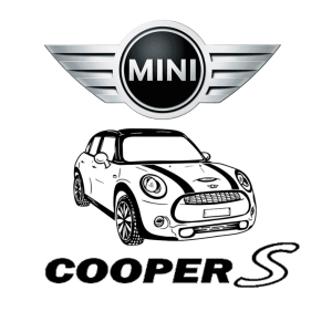 Mini Cooper Airbag (ACU)