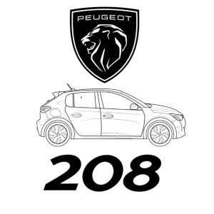 Peugeot 208 Airbag (ACU)