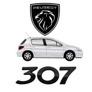 Peugeot 307 Airbag (ACU)